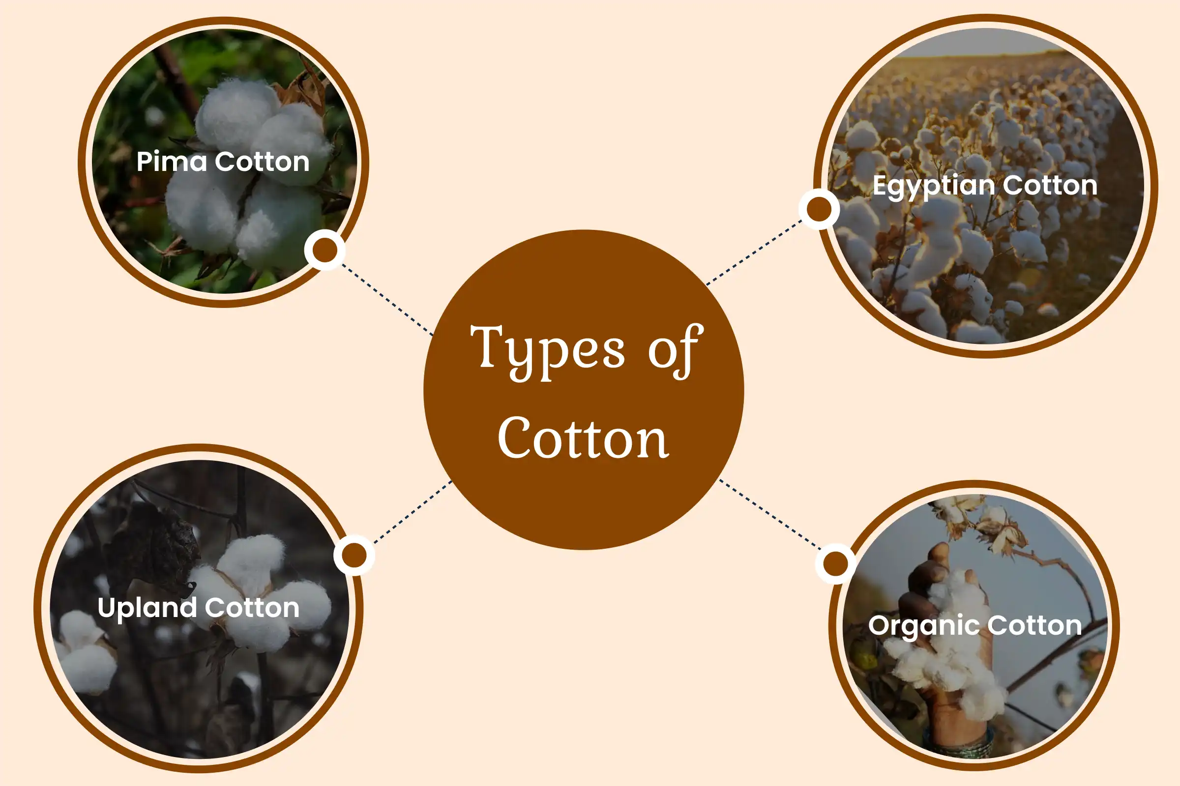 Types of Cotton