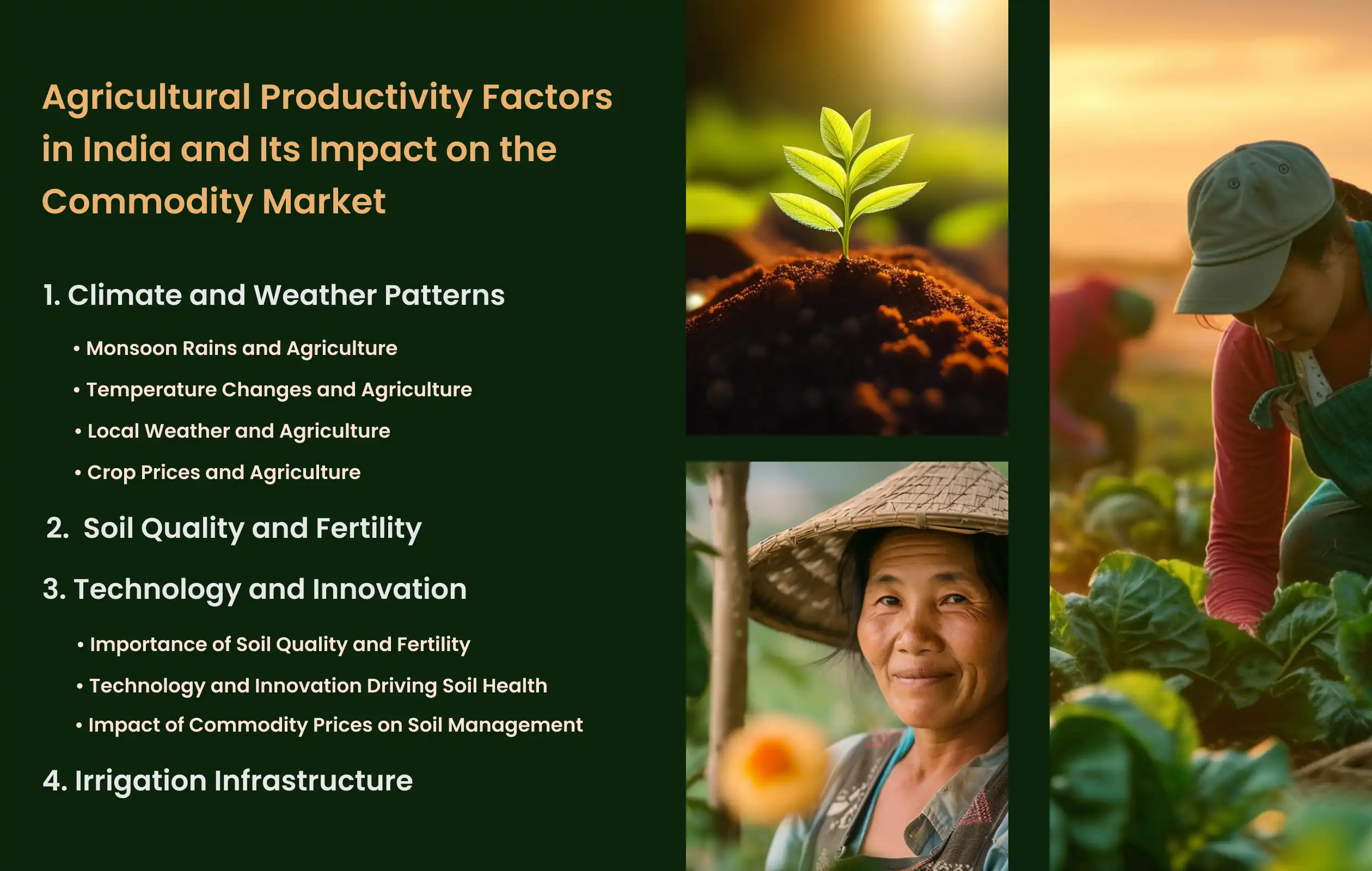 Factors Influencing Agricultural Productivity in India