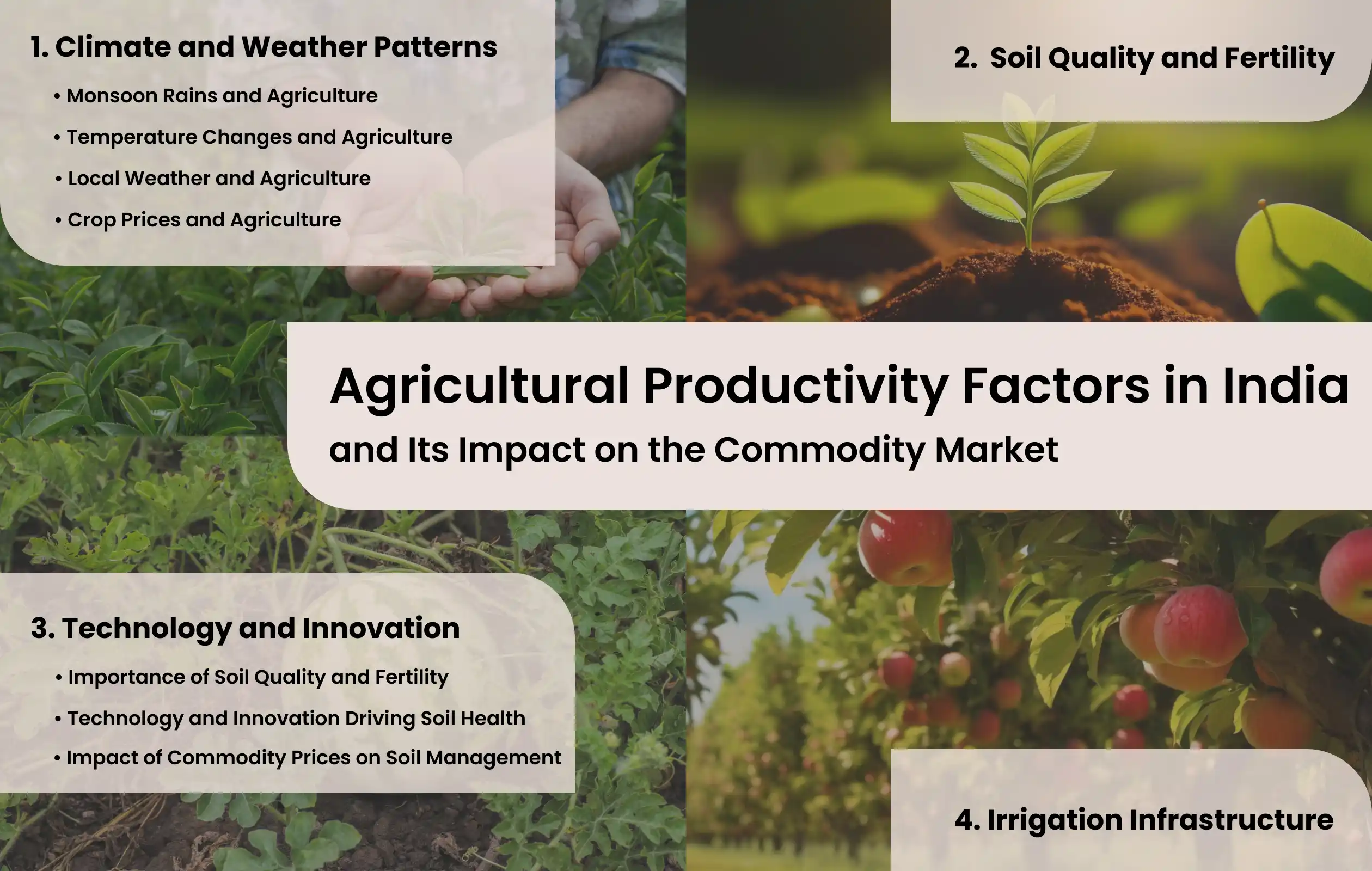 Factors Influencing Agricultural Productivity in India