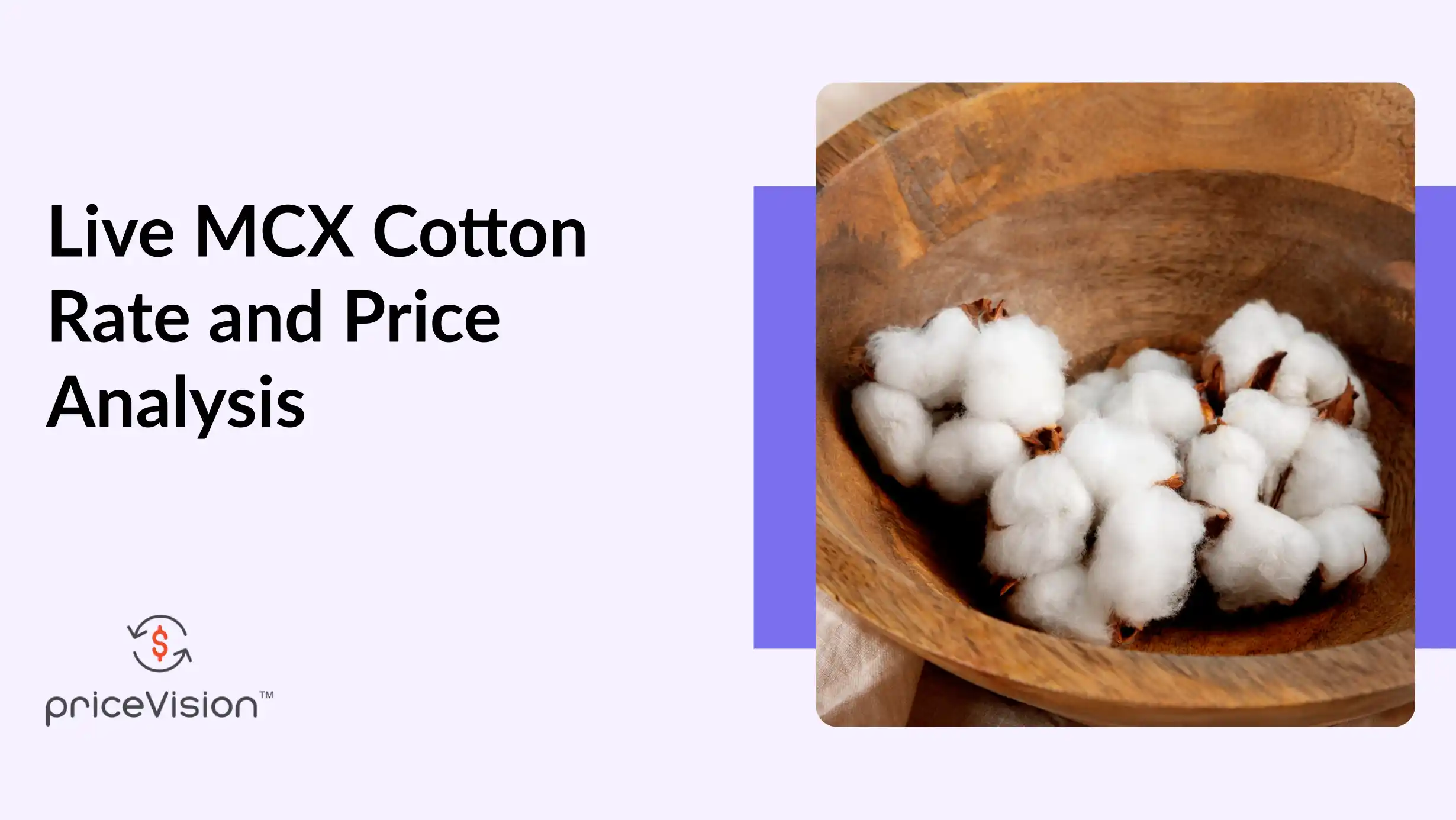 Live MCX Cotton Rate