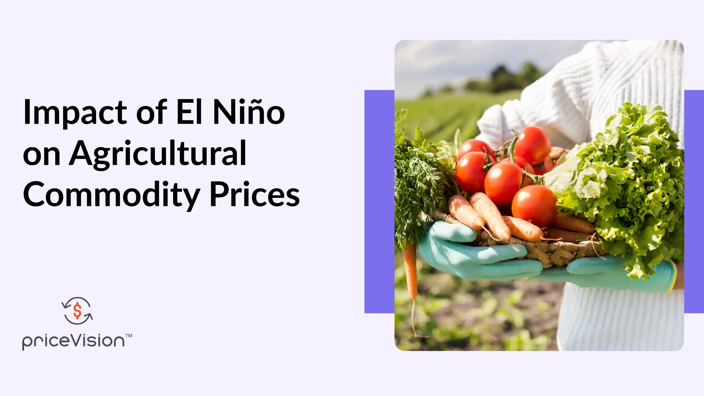 El Niño on Agricultural Commodity Prices