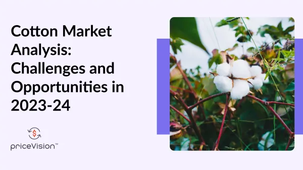 Cotton Market Analysis