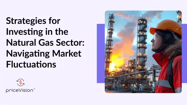 Investing in the Natural Gas Sector