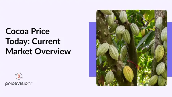 Cocoa Price Today - Current Market Overview